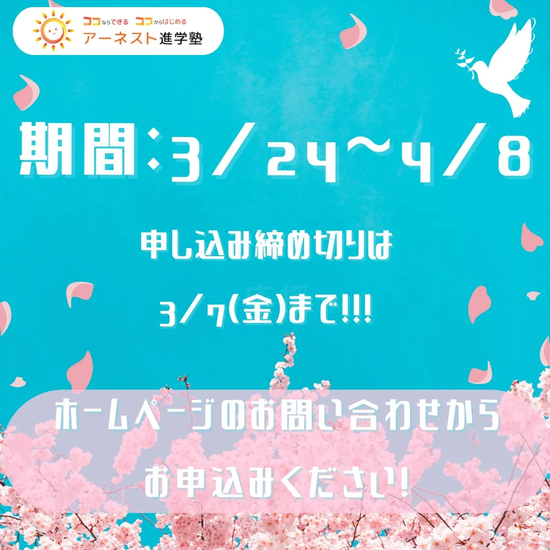 🌸こんにちは！気づけば新年が始まったばかりなのに、もう2月も...