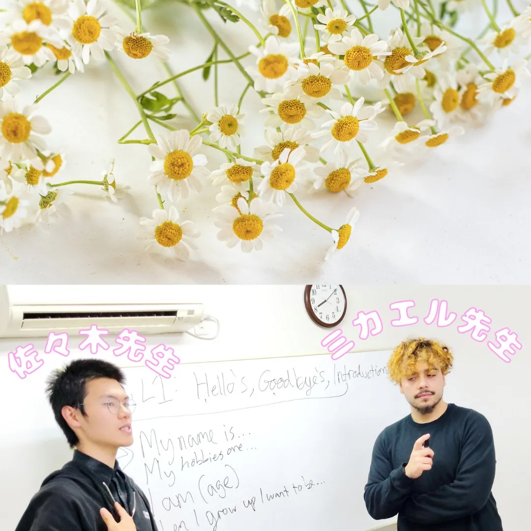 第2回英会話講座を開催しました！🇺🇸✏️みなさん、たくさんの...